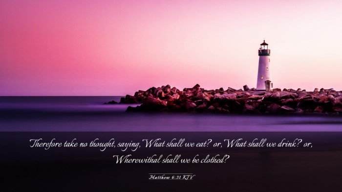 Picture 03 - Matthew 6:31 KJV Desktop Wallpaper - Therefore take no thought, saying, What shall we - Desktop Bible Verse Wallpaper