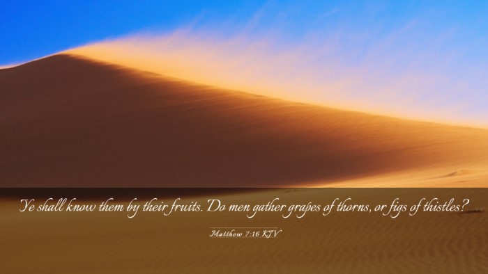 Picture 03 - Matthew 7:16 KJV Desktop Wallpaper - Ye shall know them by their fruits. Do men gather - Desktop Bible Verse Wallpaper