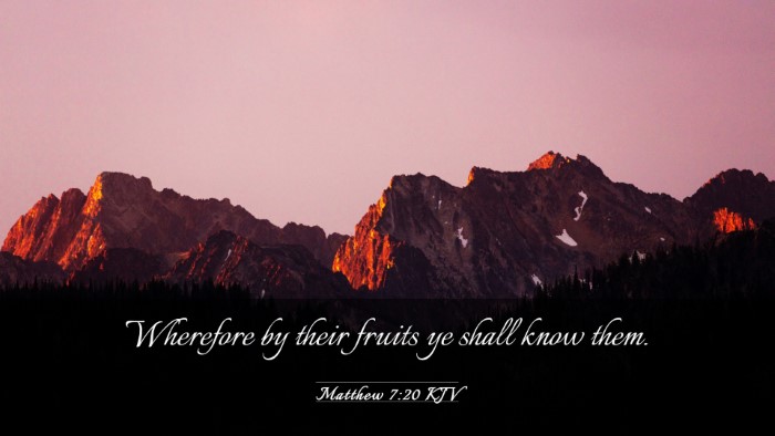 Picture 03 - Matthew 7:20 KJV Desktop Wallpaper - Wherefore by their fruits ye shall know - Desktop Bible Verse Wallpaper