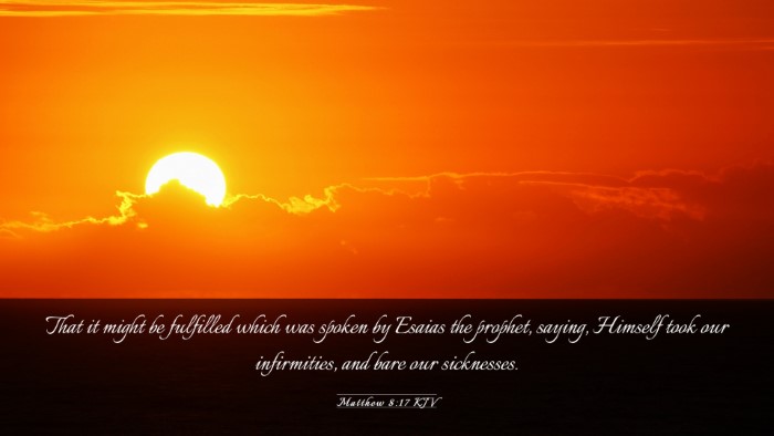 Picture 03 - Matthew 8:17 KJV Desktop Wallpaper - That it might be fulfilled which was spoken by - Desktop Bible Verse Wallpaper