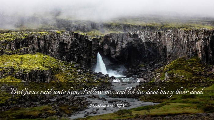Picture 03 - Matthew 8:22 KJV Desktop Wallpaper - But Jesus said unto him, Follow me; and let the - Desktop Bible Verse Wallpaper