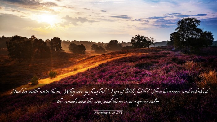 Picture 03 - Matthew 8:26 KJV Desktop Wallpaper - And he saith unto them, Why are ye fearful, O ye - Desktop Bible Verse Wallpaper
