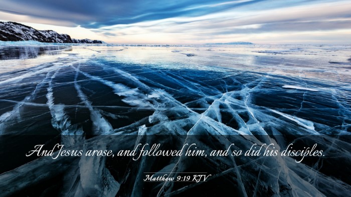 Picture 03 - Matthew 9:19 KJV Desktop Wallpaper - And Jesus arose, and followed him, and so did his - Desktop Bible Verse Wallpaper