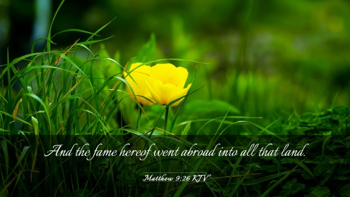 Picture 03 - Matthew 9:26 KJV Desktop Wallpaper - And the fame hereof went abroad into all that - Desktop Bible Verse Wallpaper