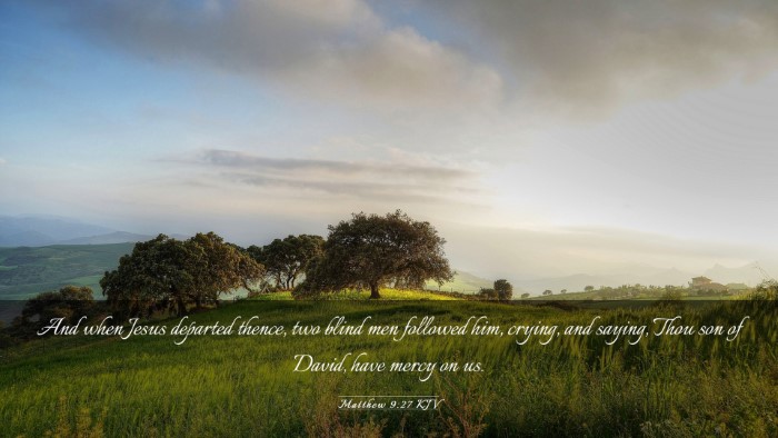 Picture 03 - Matthew 9:27 KJV Desktop Wallpaper - And when Jesus departed thence, two blind men - Desktop Bible Verse Wallpaper