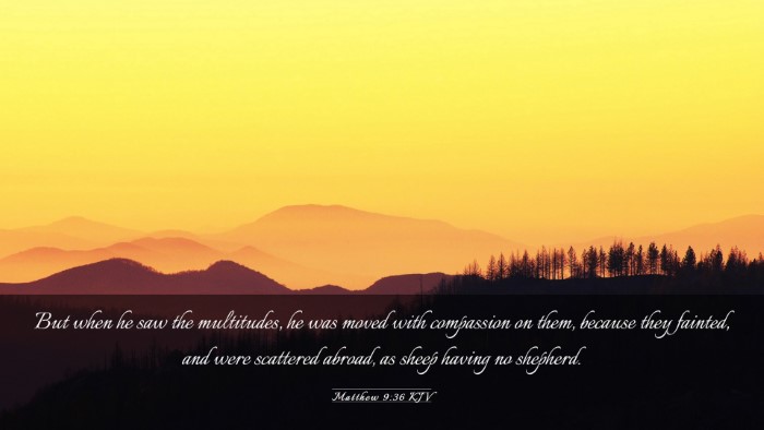 Picture 03 - Matthew 9:36 KJV Desktop Wallpaper - But when he saw the multitudes, he was moved with - Desktop Bible Verse Wallpaper