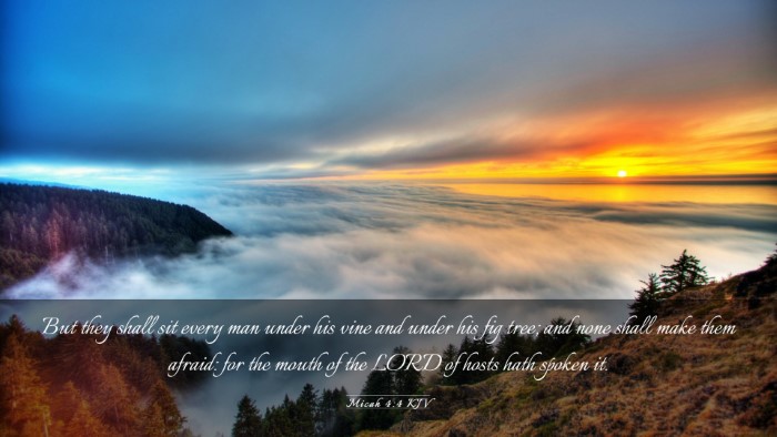 Picture 03 - Micah 4:4 KJV Desktop Wallpaper - But they shall sit every man under his vine and - Desktop Bible Verse Wallpaper