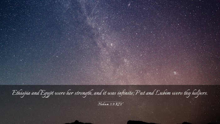 Picture 03 - Nahum 3:9 KJV Desktop Wallpaper - Ethiopia and Egypt were her strength, and it was - Desktop Bible Verse Wallpaper