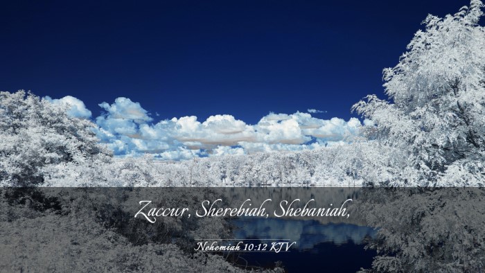 Picture 03 - Nehemiah 10:12 KJV Desktop Wallpaper - Zaccur, Sherebiah, - Desktop Bible Verse Wallpaper