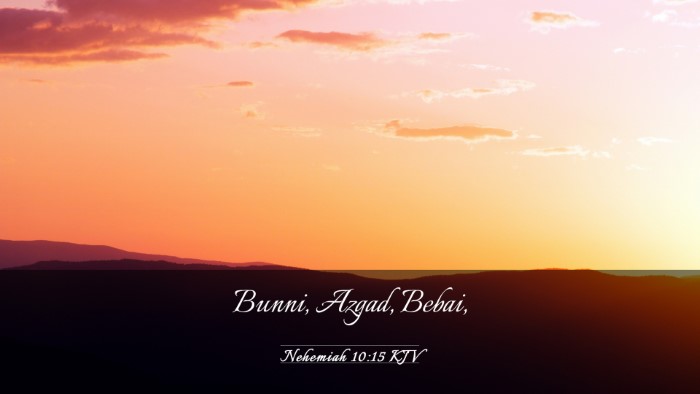 Picture 03 - Nehemiah 10:15 KJV Desktop Wallpaper - Bunni, Azgad, - Desktop Bible Verse Wallpaper