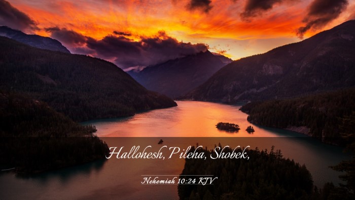 Picture 03 - Nehemiah 10:24 KJV Desktop Wallpaper - Hallohesh, Pileha, - Desktop Bible Verse Wallpaper