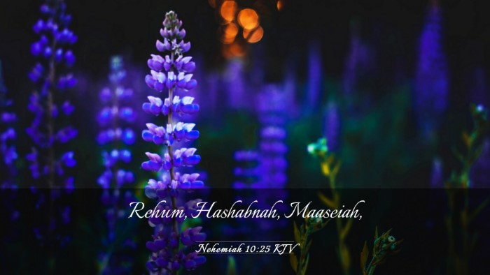 Picture 03 - Nehemiah 10:25 KJV Desktop Wallpaper - Rehum, Hashabnah, - Desktop Bible Verse Wallpaper