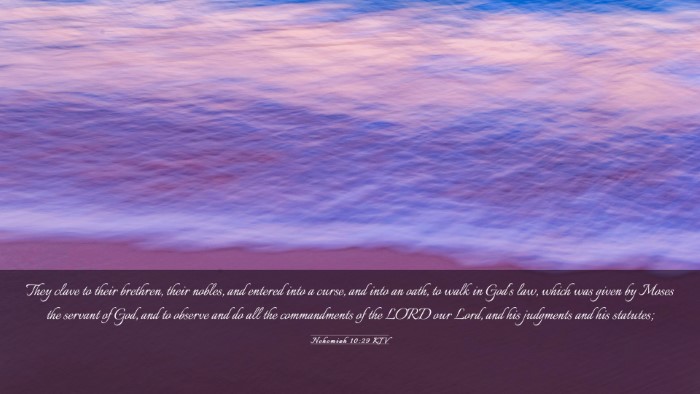 Picture 03 - Nehemiah 10:29 KJV Desktop Wallpaper - They clave to their brethren, their nobles, and - Desktop Bible Verse Wallpaper
