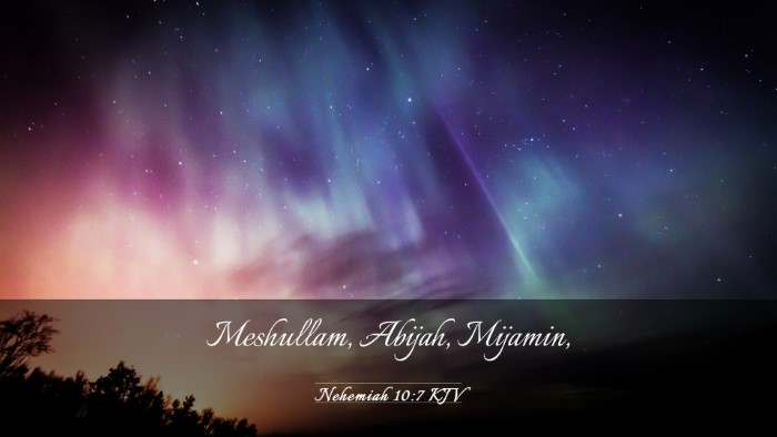Picture 03 - Nehemiah 10:7 KJV Desktop Wallpaper - Meshullam, Abijah, - Desktop Bible Verse Wallpaper