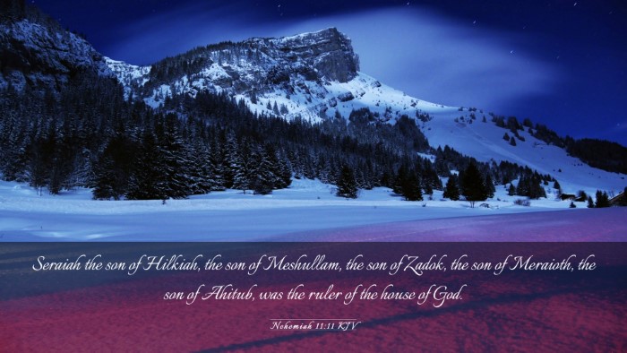 Picture 03 - Nehemiah 11:11 KJV Desktop Wallpaper - Seraiah the son of Hilkiah, the son of Meshullam, - Desktop Bible Verse Wallpaper