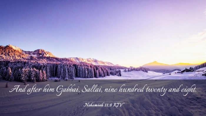 Picture 03 - Nehemiah 11:8 KJV Desktop Wallpaper - And after him Gabbai, Sallai, nine hundred twenty - Desktop Bible Verse Wallpaper