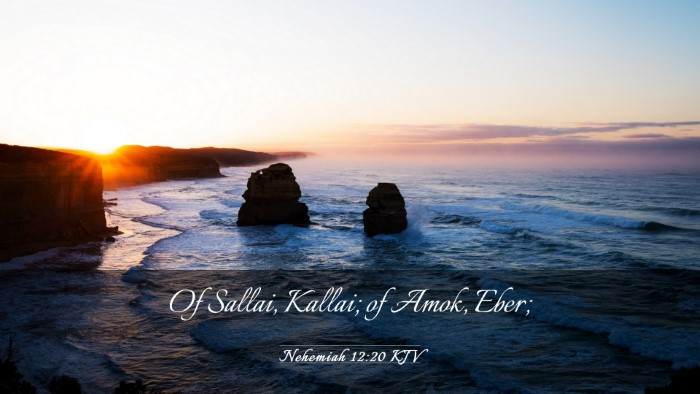 Picture 03 - Nehemiah 12:20 KJV Desktop Wallpaper - Of Sallai, Kallai; of Amok, - Desktop Bible Verse Wallpaper