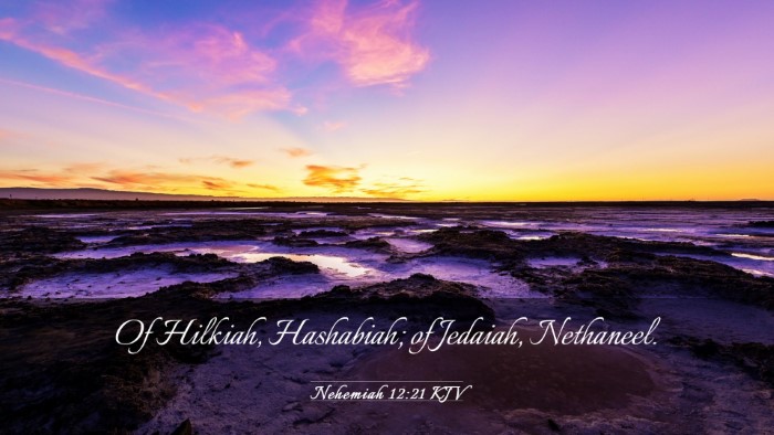 Picture 03 - Nehemiah 12:21 KJV Desktop Wallpaper - Of Hilkiah, Hashabiah; of Jedaiah, - Desktop Bible Verse Wallpaper