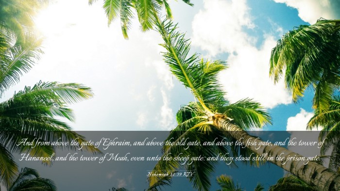 Picture 03 - Nehemiah 12:39 KJV Desktop Wallpaper - And from above the gate of Ephraim, and above the - Desktop Bible Verse Wallpaper