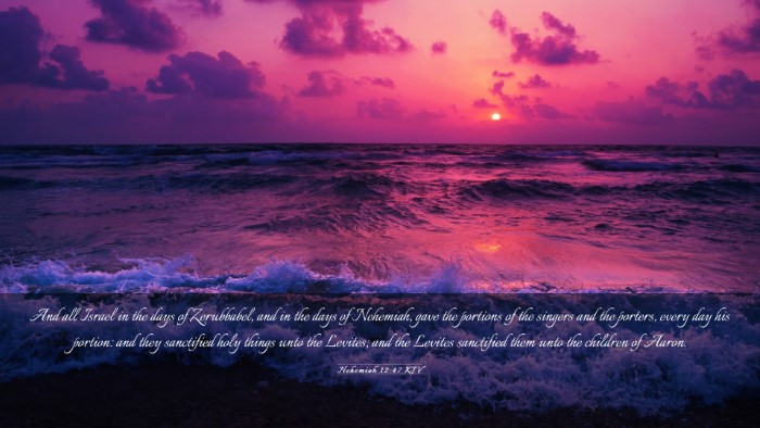 Picture 03 - Nehemiah 12:47 KJV Desktop Wallpaper - And all Israel in the days of Zerubbabel, and in - Desktop Bible Verse Wallpaper