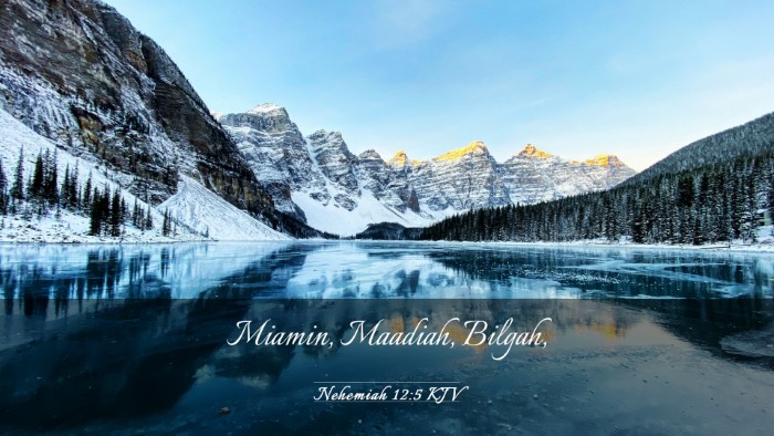 Picture 03 - Nehemiah 12:5 KJV Desktop Wallpaper - Miamin, Maadiah, - Desktop Bible Verse Wallpaper