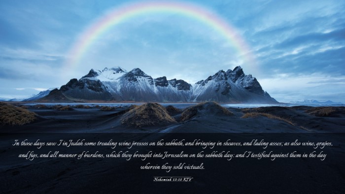 Picture 03 - Nehemiah 13:15 KJV Desktop Wallpaper - In those days saw I in Judah some treading wine - Desktop Bible Verse Wallpaper
