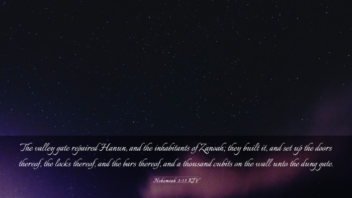 Picture 03 - Nehemiah 3:13 KJV Desktop Wallpaper - The valley gate repaired Hanun, and the - Desktop Bible Verse Wallpaper