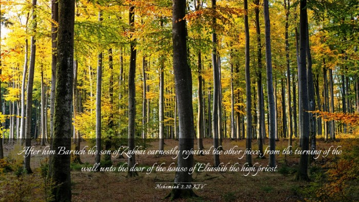Picture 03 - Nehemiah 3:20 KJV Desktop Wallpaper - After him Baruch the son of Zabbai earnestly - Desktop Bible Verse Wallpaper