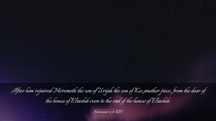 Picture 03 - Nehemiah 3:21 KJV Desktop Wallpaper - After him repaired Meremoth the son of Urijah the - Desktop Bible Verse Wallpaper