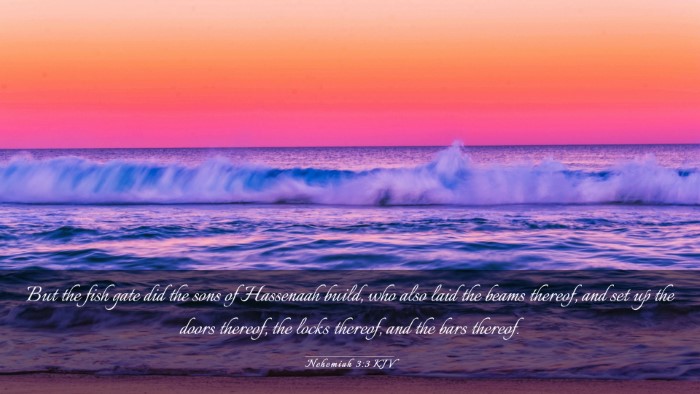 Picture 03 - Nehemiah 3:3 KJV Desktop Wallpaper - But the fish gate did the sons of Hassenaah - Desktop Bible Verse Wallpaper