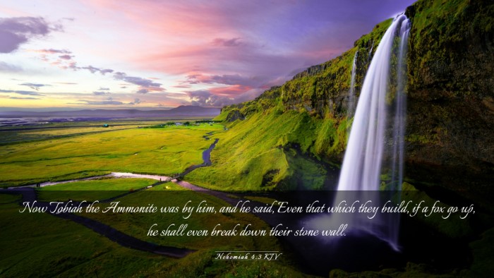 Picture 03 - Nehemiah 4:3 KJV Desktop Wallpaper - Now Tobiah the Ammonite was by him, and he said, - Desktop Bible Verse Wallpaper