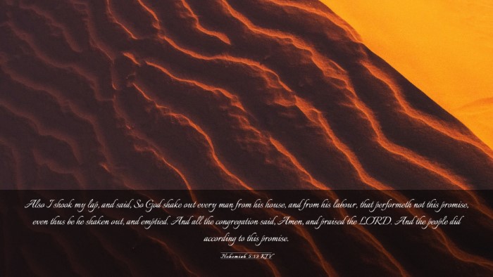 Picture 03 - Nehemiah 5:13 KJV Desktop Wallpaper - Also I shook my lap, and said, So God shake out - Desktop Bible Verse Wallpaper