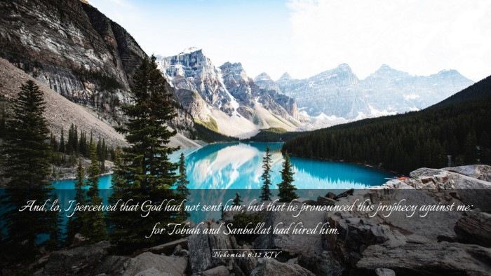 Picture 03 - Nehemiah 6:12 KJV Desktop Wallpaper - And, lo, I perceived that God had not sent him; - Desktop Bible Verse Wallpaper