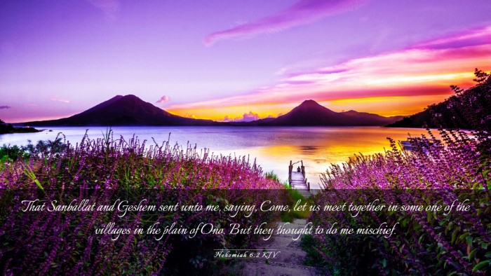 Picture 03 - Nehemiah 6:2 KJV Desktop Wallpaper - That Sanballat and Geshem sent unto me, saying, - Desktop Bible Verse Wallpaper