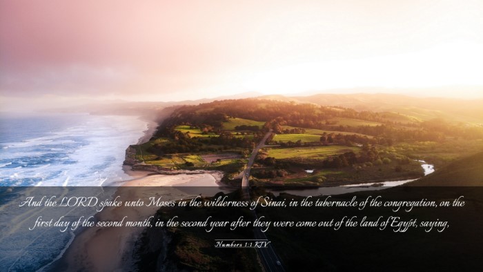 Picture 03 - Numbers 1:1 KJV Desktop Wallpaper - And the LORD spake unto Moses in the wilderness - Desktop Bible Verse Wallpaper