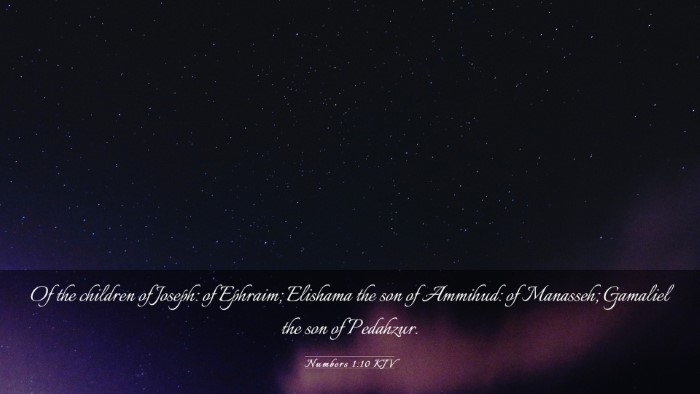 Picture 03 - Numbers 1:10 KJV Desktop Wallpaper - Of the children of Joseph: of Ephraim; Elishama - Desktop Bible Verse Wallpaper