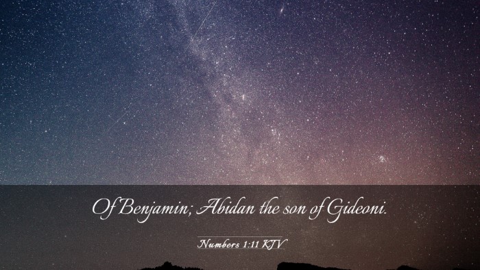 Picture 03 - Numbers 1:11 KJV Desktop Wallpaper - Of Benjamin; Abidan the son of - Desktop Bible Verse Wallpaper