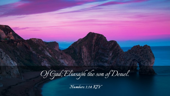 Picture 03 - Numbers 1:14 KJV Desktop Wallpaper - Of Gad; Eliasaph the son of - Desktop Bible Verse Wallpaper