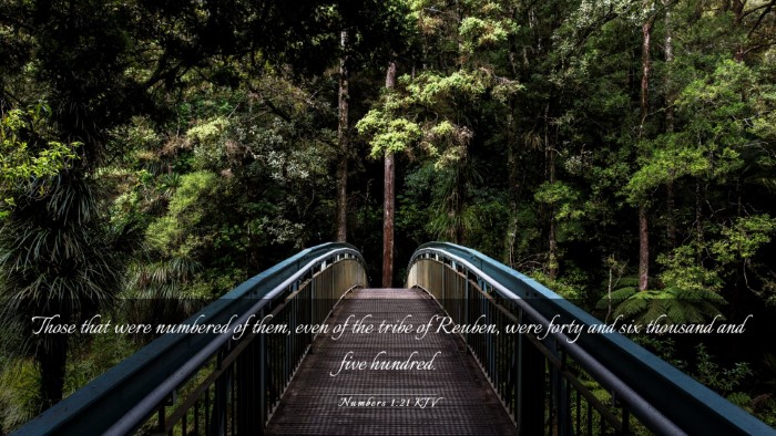 Picture 03 - Numbers 1:21 KJV Desktop Wallpaper - Those that were numbered of them, even of the - Desktop Bible Verse Wallpaper
