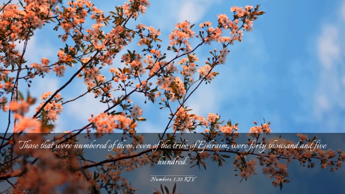 Picture 03 - Numbers 1:33 KJV Desktop Wallpaper - Those that were numbered of them, even of the - Desktop Bible Verse Wallpaper
