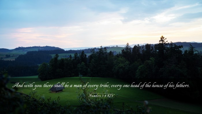 Picture 03 - Numbers 1:4 KJV Desktop Wallpaper - And with you there shall be a man of every tribe; - Desktop Bible Verse Wallpaper