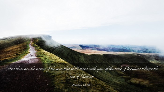 Picture 03 - Numbers 1:5 KJV Desktop Wallpaper - And these are the names of the men that shall - Desktop Bible Verse Wallpaper