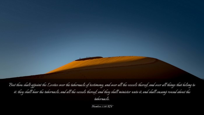 Picture 03 - Numbers 1:50 KJV Desktop Wallpaper - But thou shalt appoint the Levites over the - Desktop Bible Verse Wallpaper