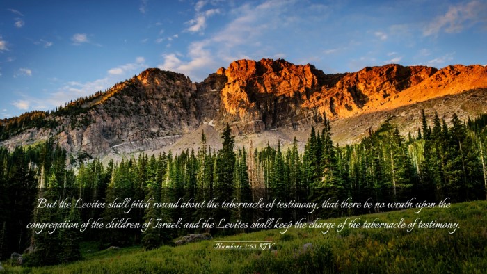 Picture 03 - Numbers 1:53 KJV Desktop Wallpaper - But the Levites shall pitch round about the - Desktop Bible Verse Wallpaper