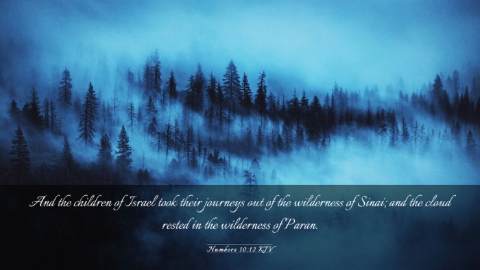 Picture 03 - Numbers 10:12 KJV Desktop Wallpaper - And the children of Israel took their journeys - Desktop Bible Verse Wallpaper
