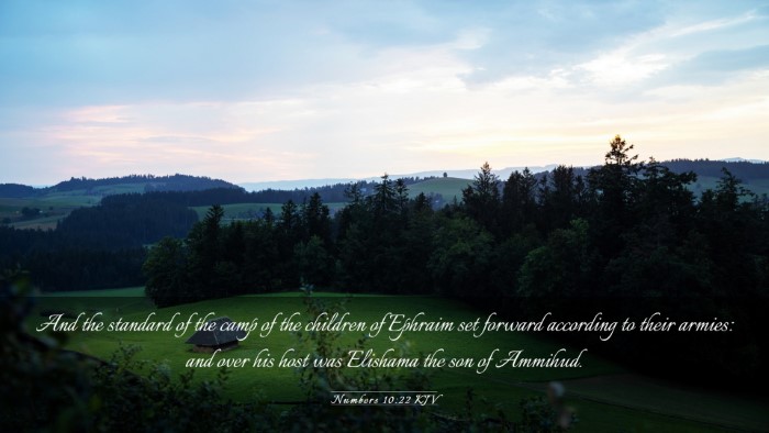 Picture 03 - Numbers 10:22 KJV Desktop Wallpaper - And the standard of the camp of the children of - Desktop Bible Verse Wallpaper