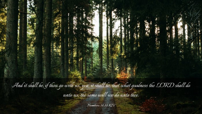 Picture 03 - Numbers 10:32 KJV Desktop Wallpaper - And it shall be, if thou go with us, yea, it - Desktop Bible Verse Wallpaper