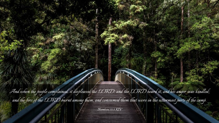 Picture 03 - Numbers 11:1 KJV Desktop Wallpaper - And when the people complained, it displeased the - Desktop Bible Verse Wallpaper