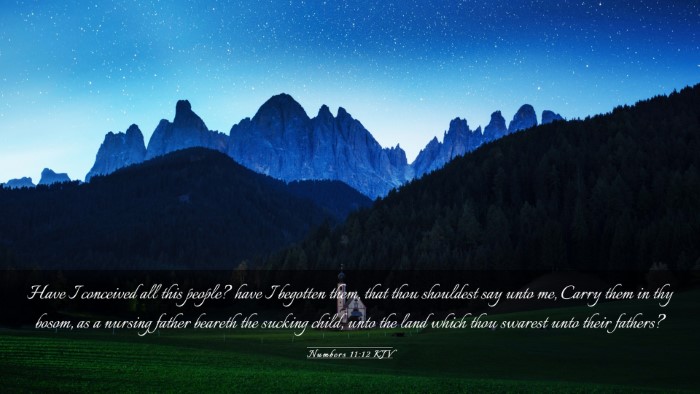 Picture 03 - Numbers 11:12 KJV Desktop Wallpaper - Have I conceived all this people? have I begotten - Desktop Bible Verse Wallpaper
