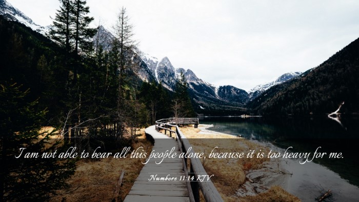 Picture 03 - Numbers 11:14 KJV Desktop Wallpaper - I am not able to bear all this people alone, - Desktop Bible Verse Wallpaper